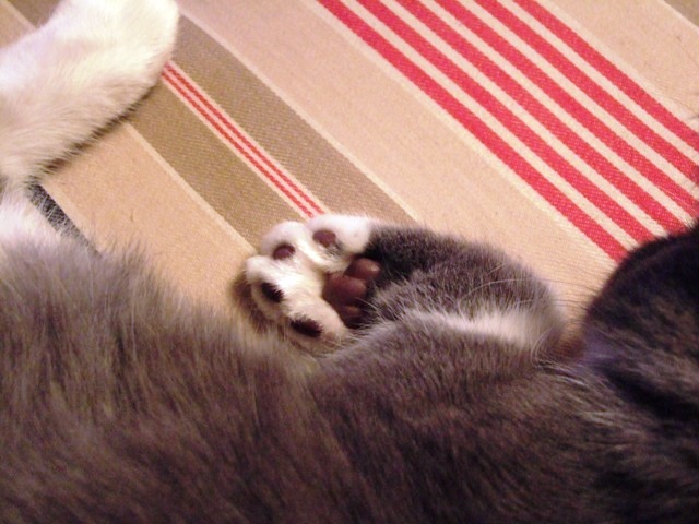 f0032020_13373796.jpg