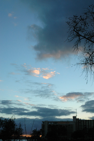 f0009722_463685.jpg