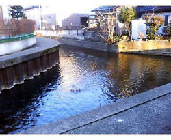 f0060424_1172678.jpg