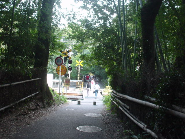 d0004627_2011716.jpg