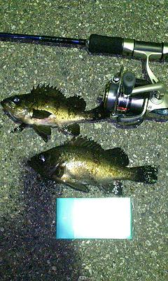 f0009238_2247334.jpg