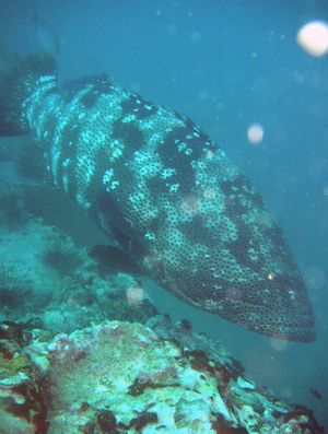 e0027447_14263555.jpg