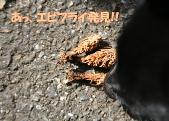 a0009750_12305890.jpg