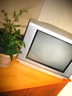 f0049362_16145673.jpg