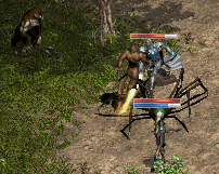 e0034686_1214737.gif