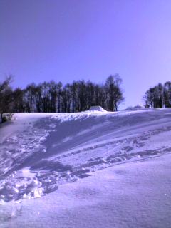 b0037197_1143657.jpg