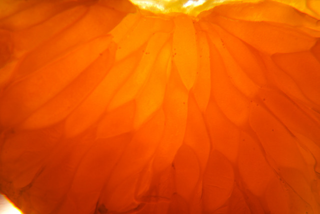 a0067201_22293275.jpg