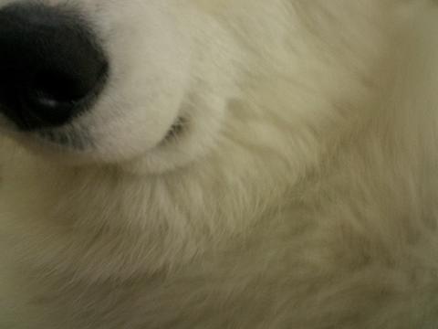 f0025103_11142854.jpg