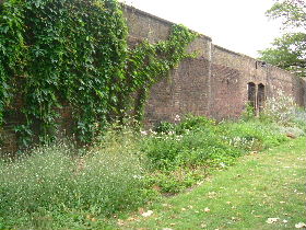 e0046112_6105088.jpg
