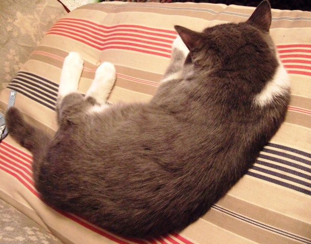 f0032020_1351347.jpg