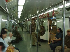 f0006724_2253745.jpg
