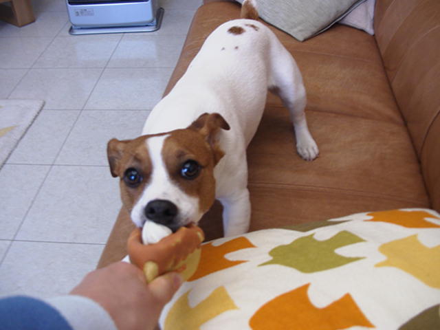 c0035931_22271515.jpg
