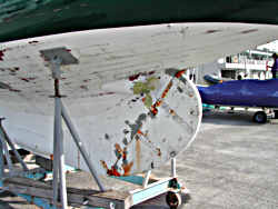 c0041039_954138.jpg