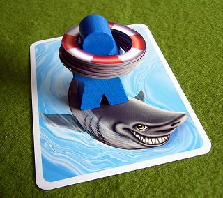 サメにノリノリ