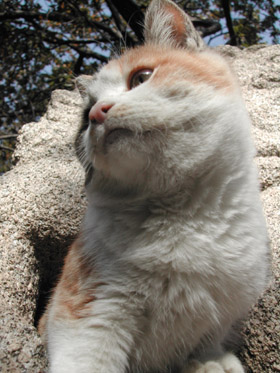 f0034559_20273825.jpg