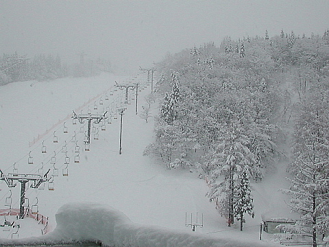 b0053765_215247100.jpg