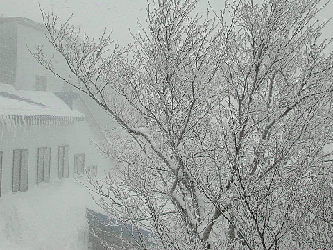 b0053765_22411172.jpg