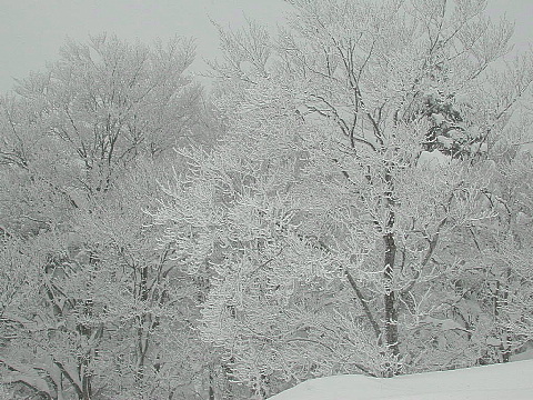 b0053765_22435438.jpg