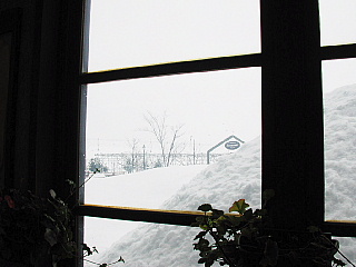 b0053765_23181844.jpg