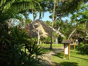 f0002265_21341821.jpg