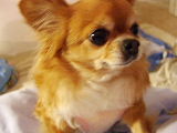 f0052071_16235616.jpg