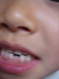 c0046281_19264198.jpg