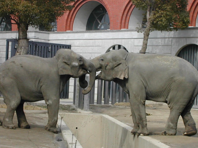 e0027681_5151748.jpg