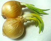 e0077498_1544289.jpg
