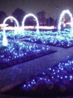 e0068904_0555115.jpg