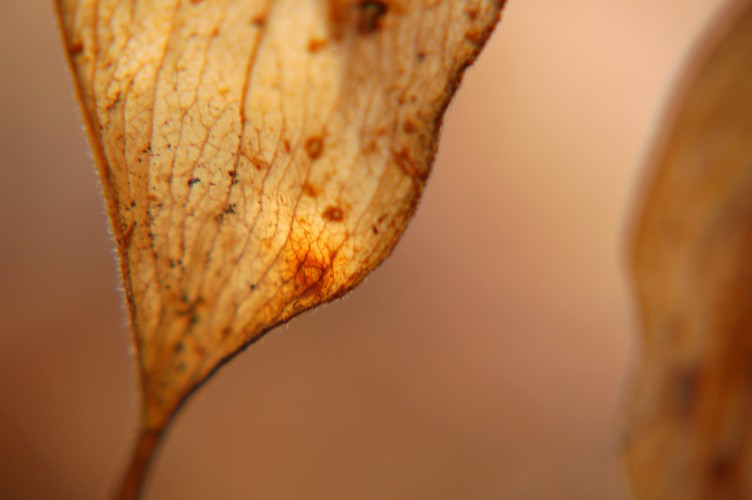 e0009147_11551064.jpg