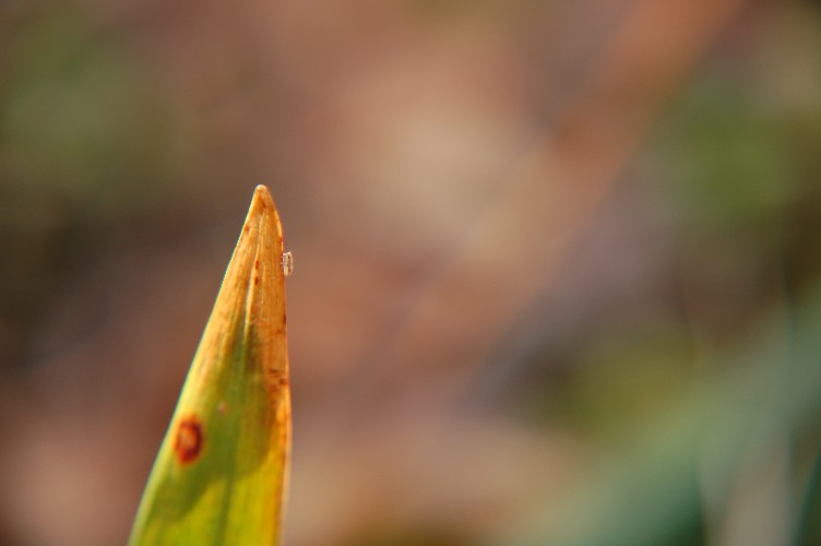 e0009147_11552924.jpg