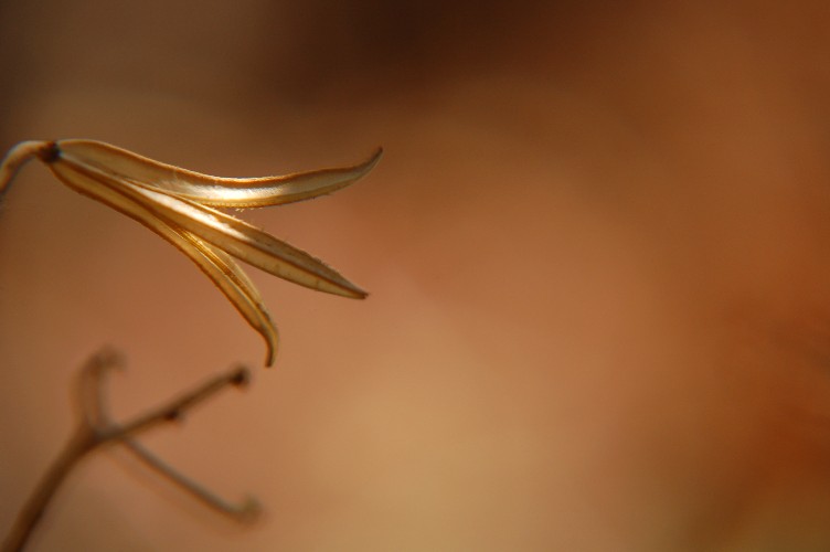 e0009147_11564849.jpg