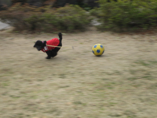 d0044249_22431411.jpg