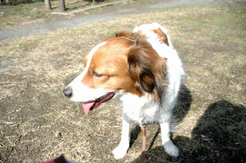 c0075585_153739.jpg