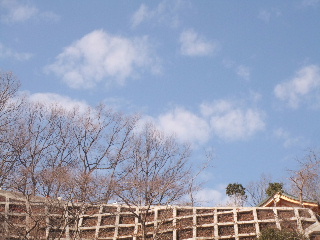 e0032488_18203623.jpg