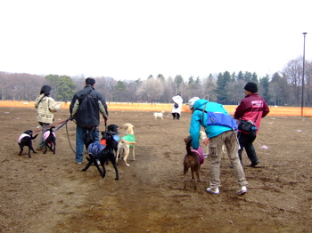 f0001698_0534771.jpg