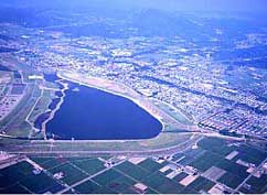 f0061306_1253595.jpg