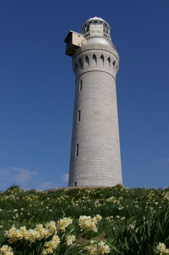 b0052108_23373267.jpg