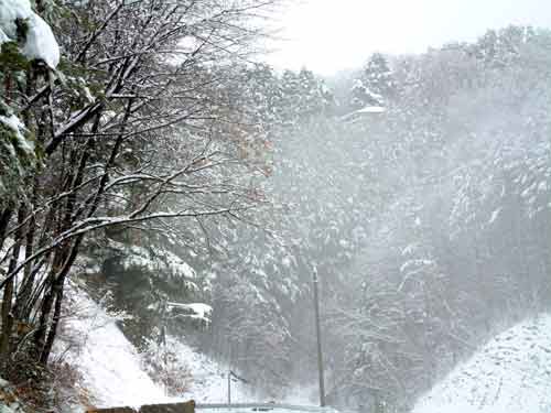 e0001110_654434.jpg