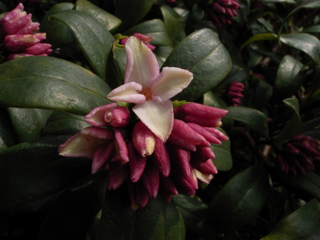 c0071611_10383971.jpg