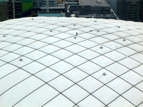 b0034912_1074497.jpg