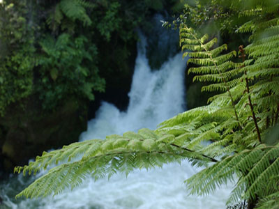 f0078132_18321776.jpg