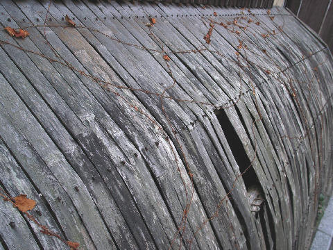 c0032138_1752688.jpg