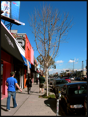 e0077840_8145873.jpg