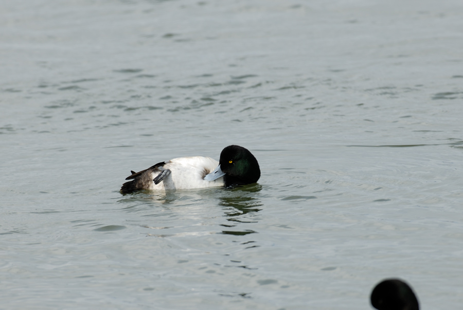 a0039245_0420100.jpg