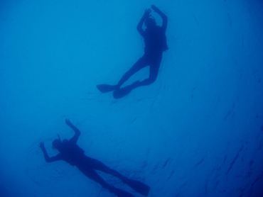 d0065247_2139294.jpg