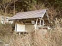 a0034453_20253477.jpg