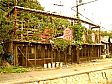 a0034453_20295258.jpg
