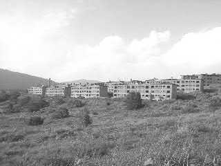 a0034453_21342674.jpg