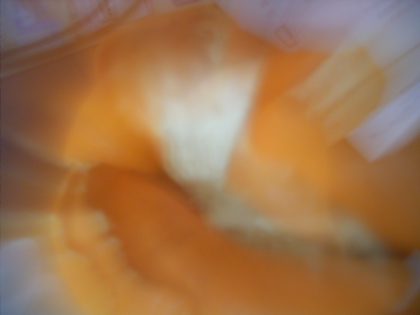 d0049553_2202083.jpg